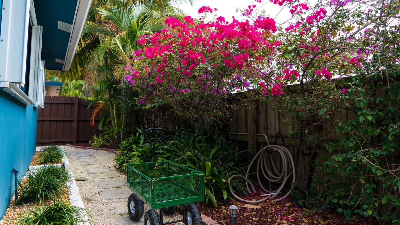 Photo of Outdoor in Central Oakland Park