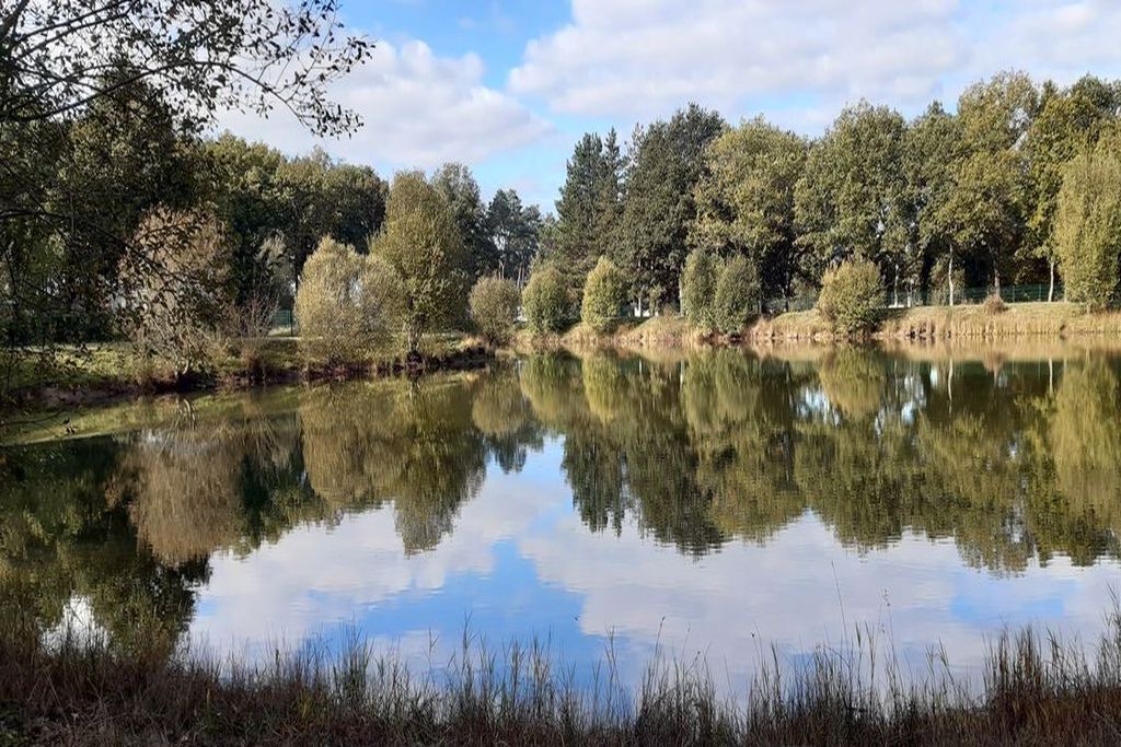 Photo of Outdoor in La Boissiere-de-Montaigu