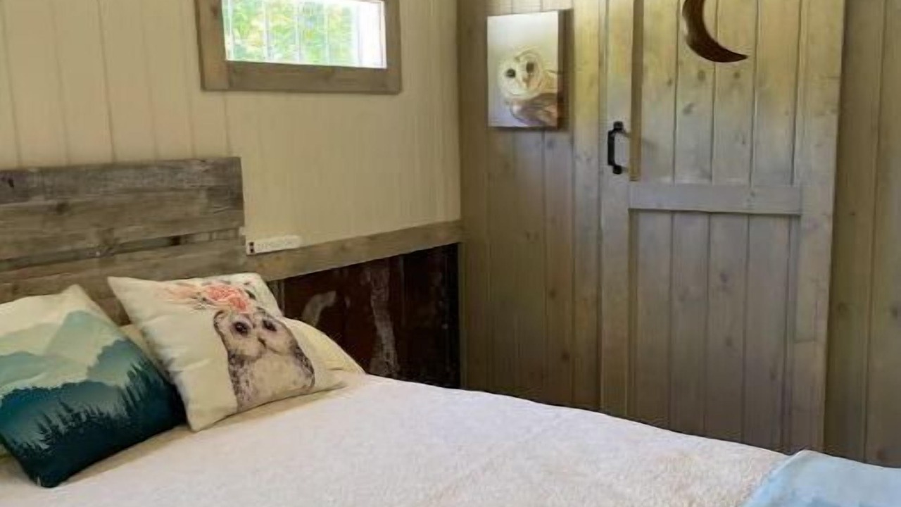 Photo of Bedroom in Tiger