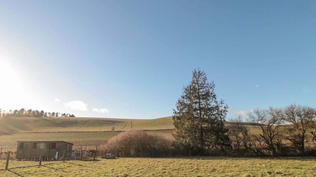 Photo of Outdoor in Ford