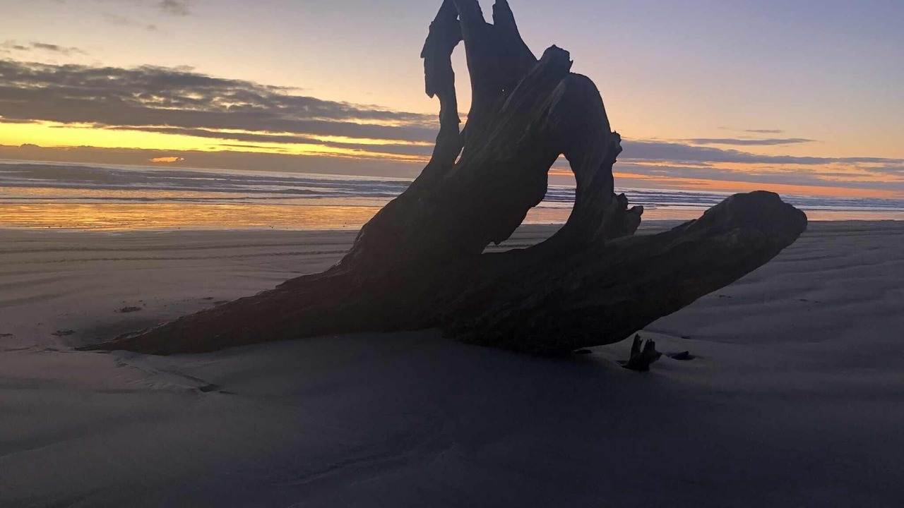 Photo of Others in Waitarere Beach