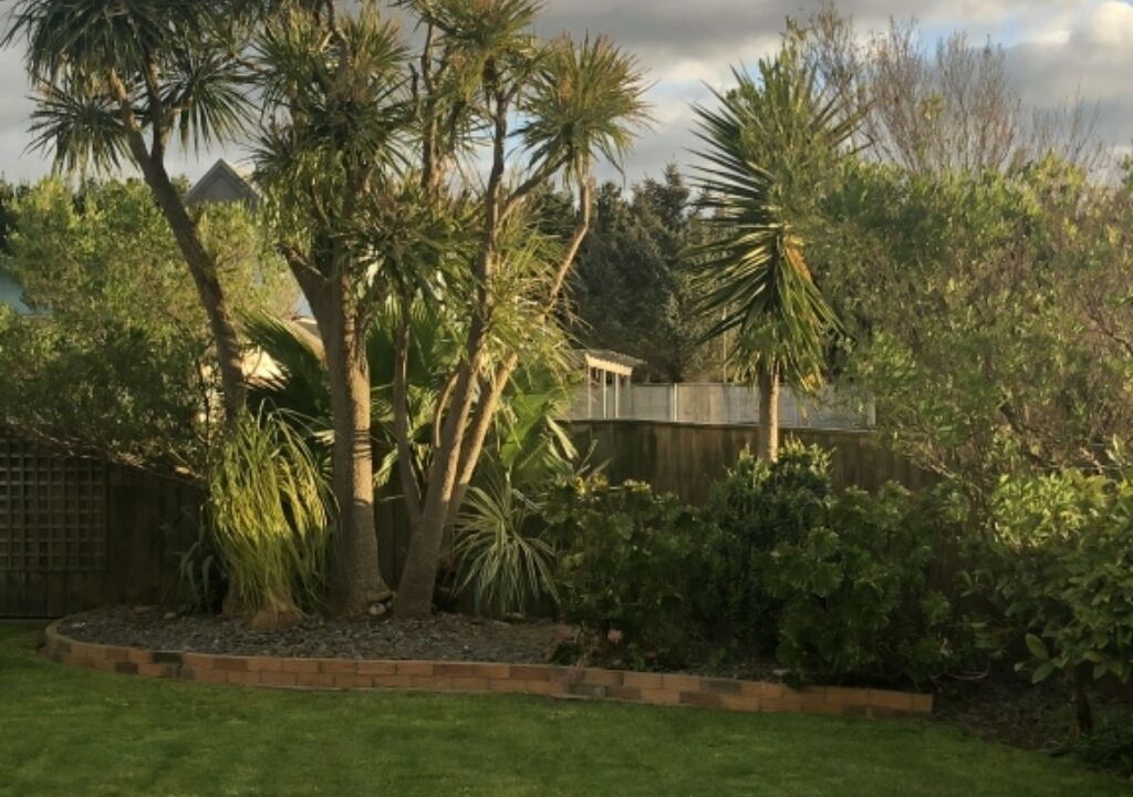 Photo of Outdoor in Waitarere Beach
