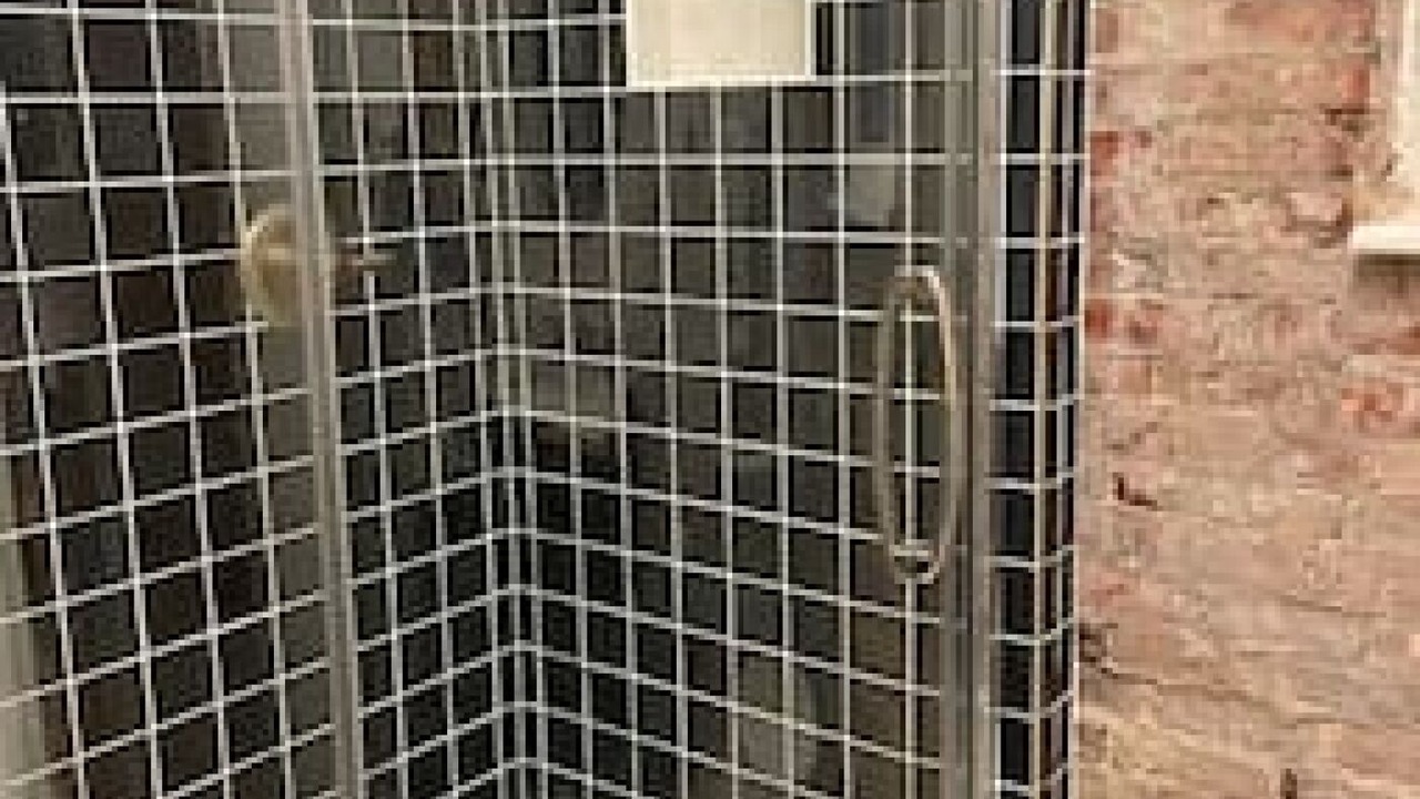 Photo of Bathroom in Augusta