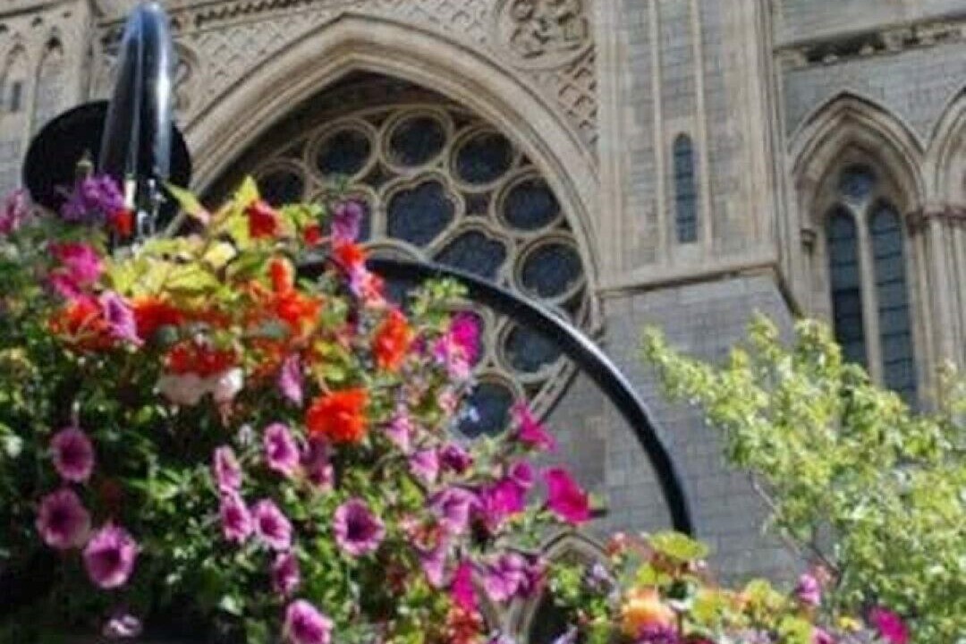 Photo of Others in Truro