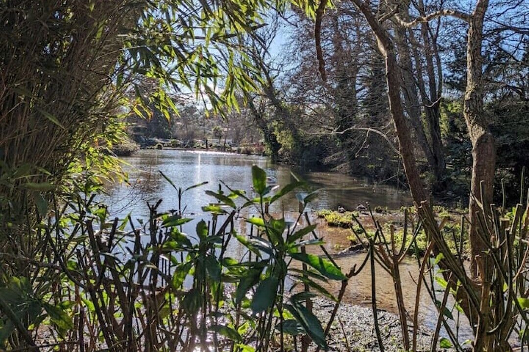 Photo of Outdoor in Truro