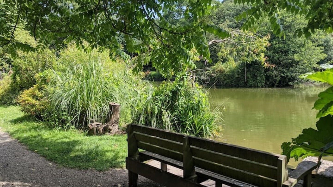 Photo of Outdoor in Truro