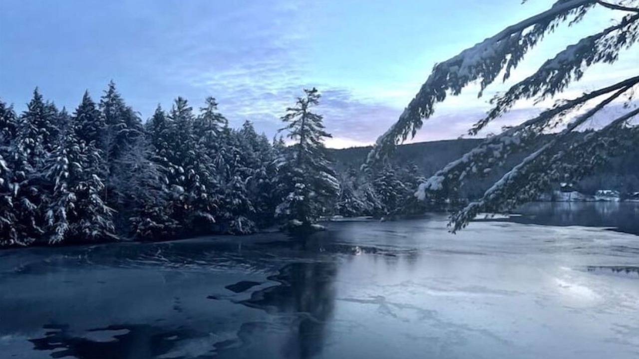 Photo of Outdoor in Ludlow