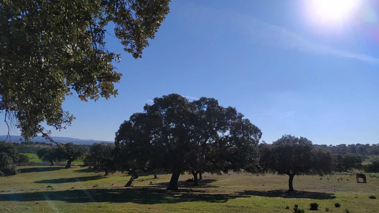 Photo of Outdoor in Aldehuela de Jerte