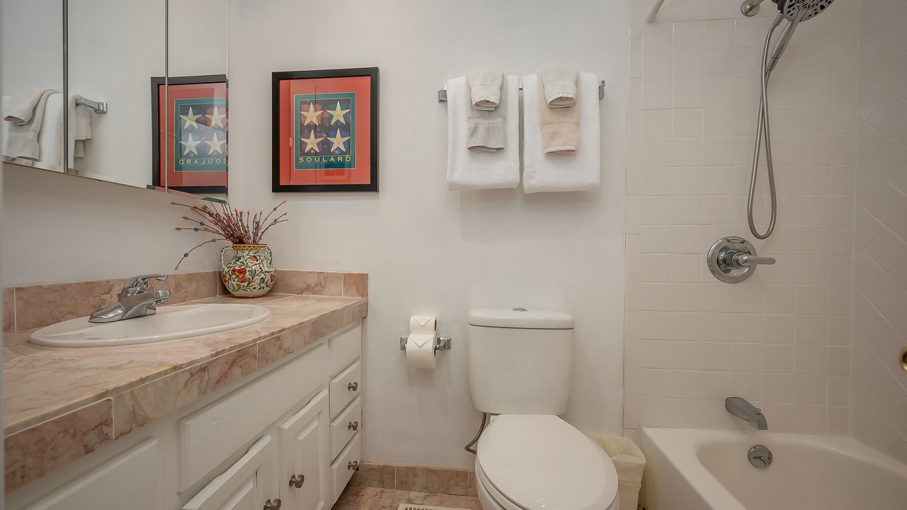 Photo of Bathroom in Bat Cave