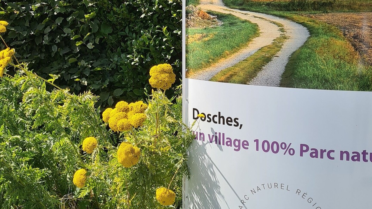 Photo of Outdoor in Dosches