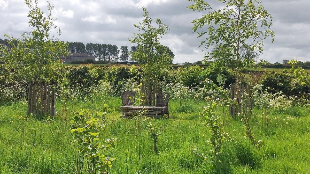 Photo of Outdoor in Wedmore