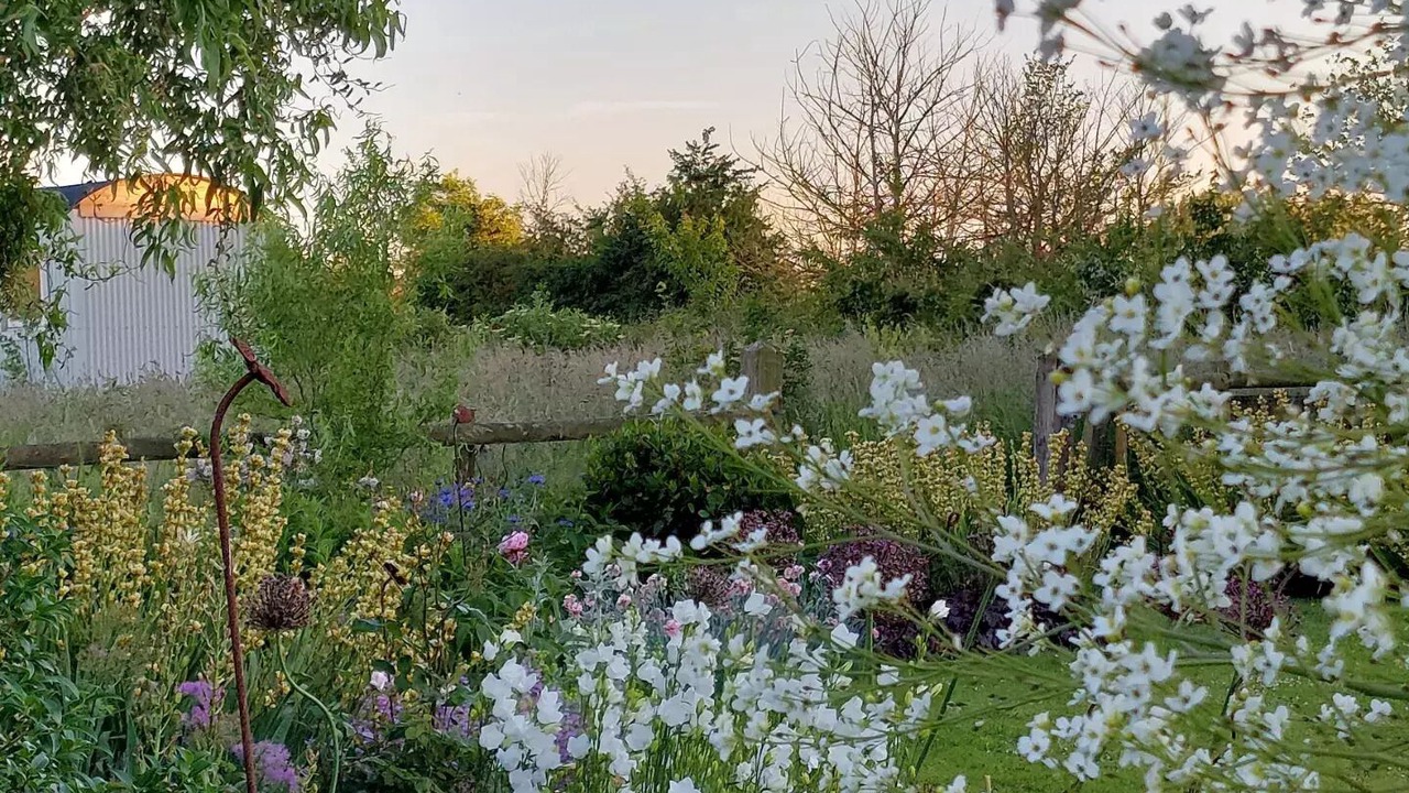 Photo of Outdoor in Wedmore