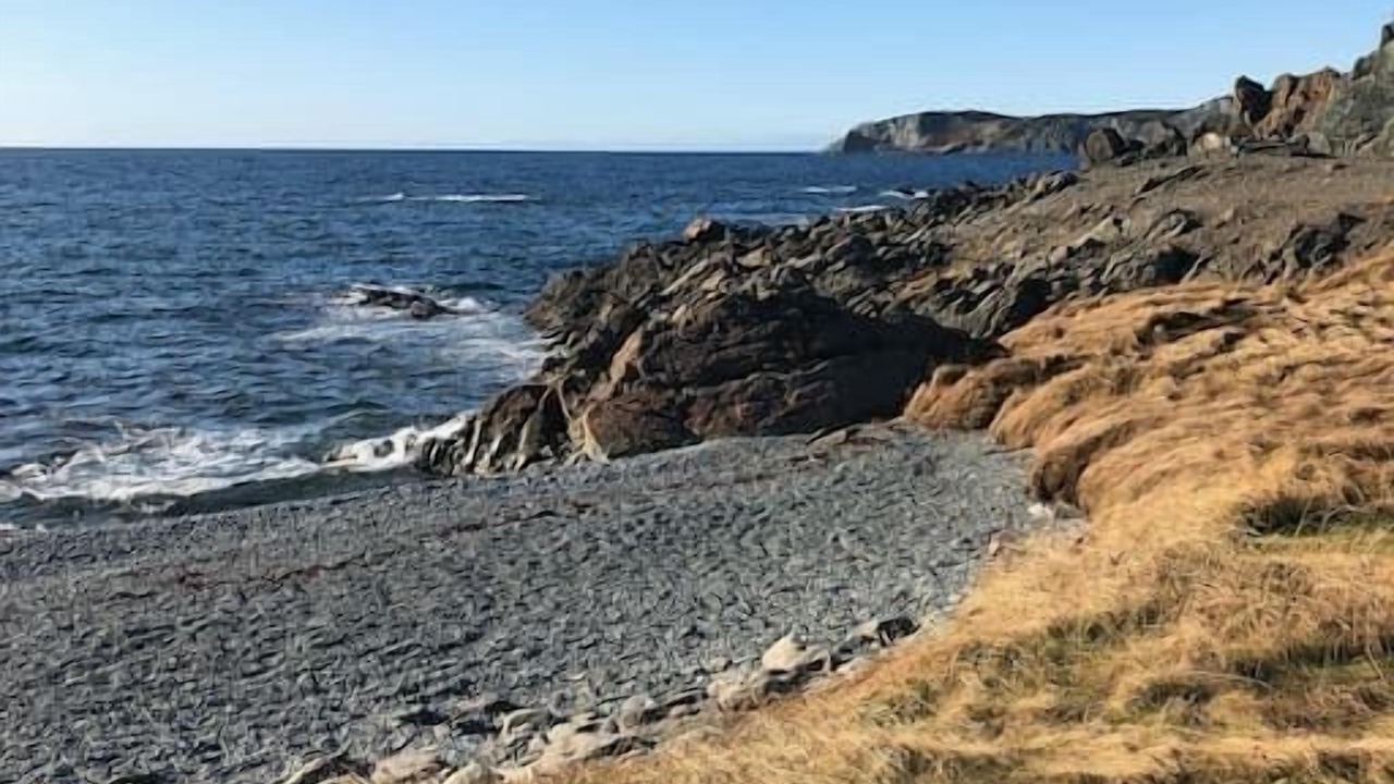 Photo of Others in Twillingate