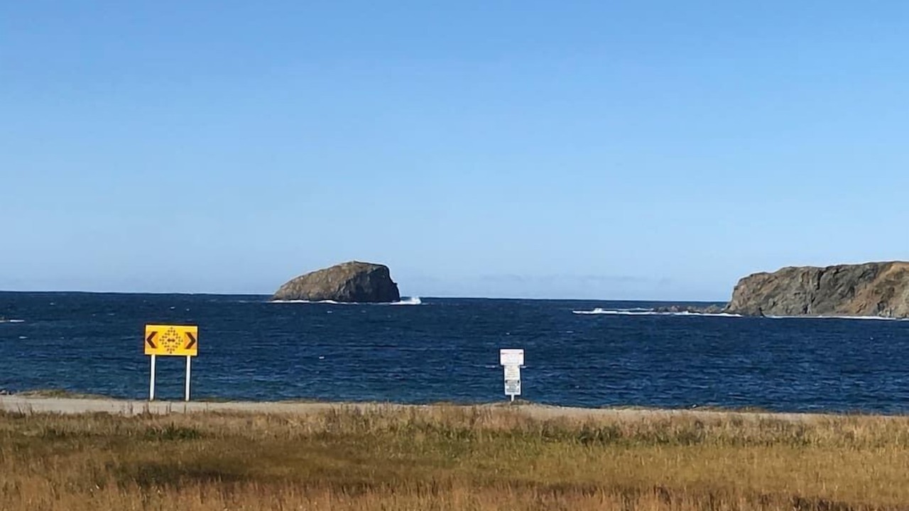 Photo of Others in Twillingate