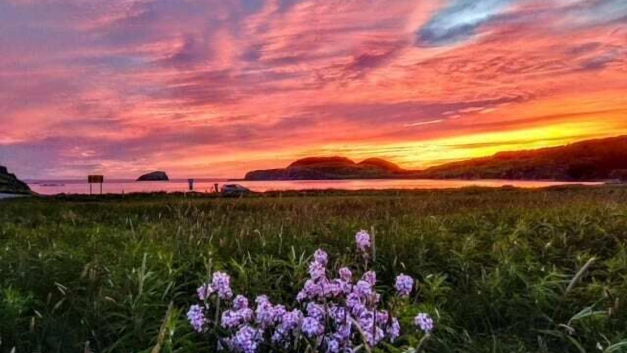 Photo of Others in Twillingate