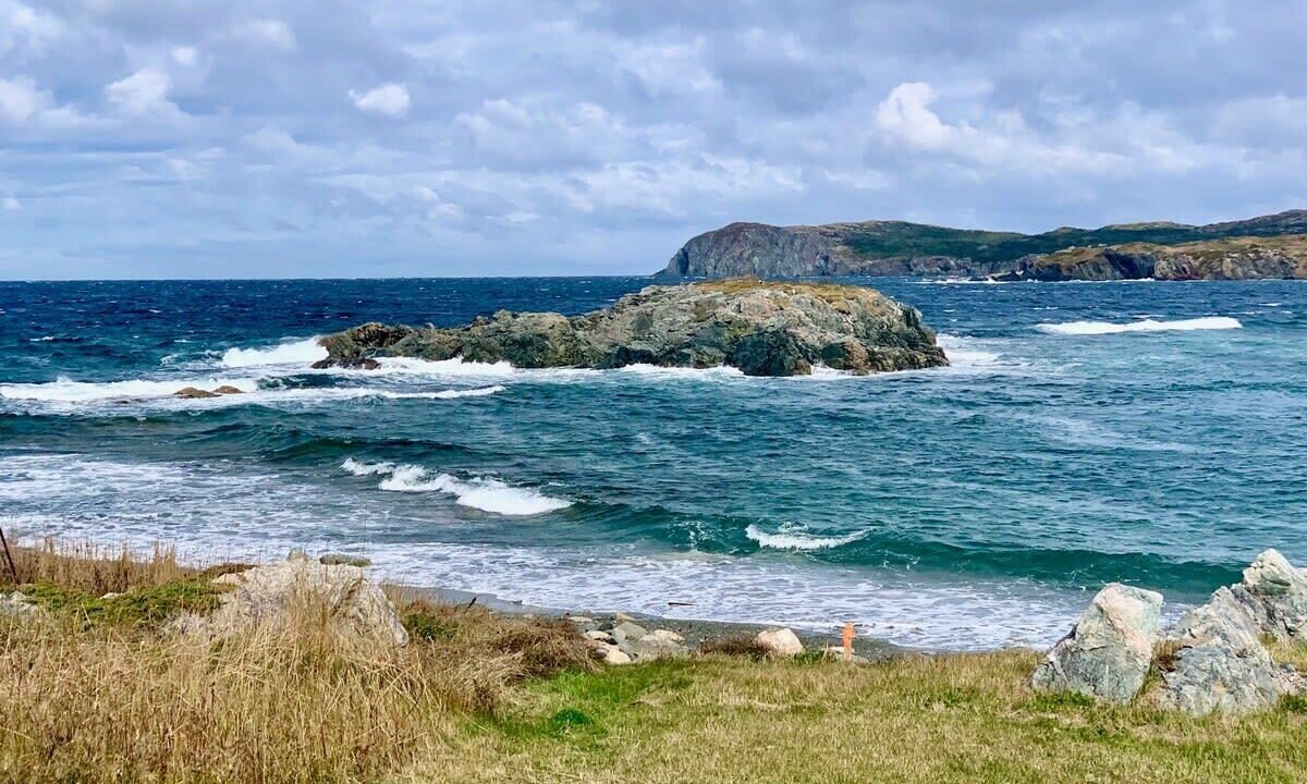 Photo of Others in Twillingate