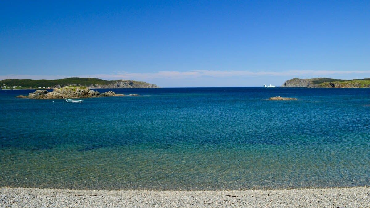 Photo of Others in Twillingate