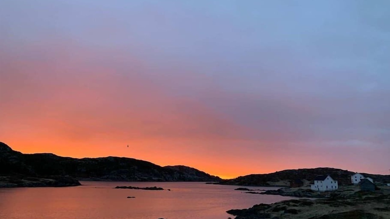 Photo of Others in Newfoundland