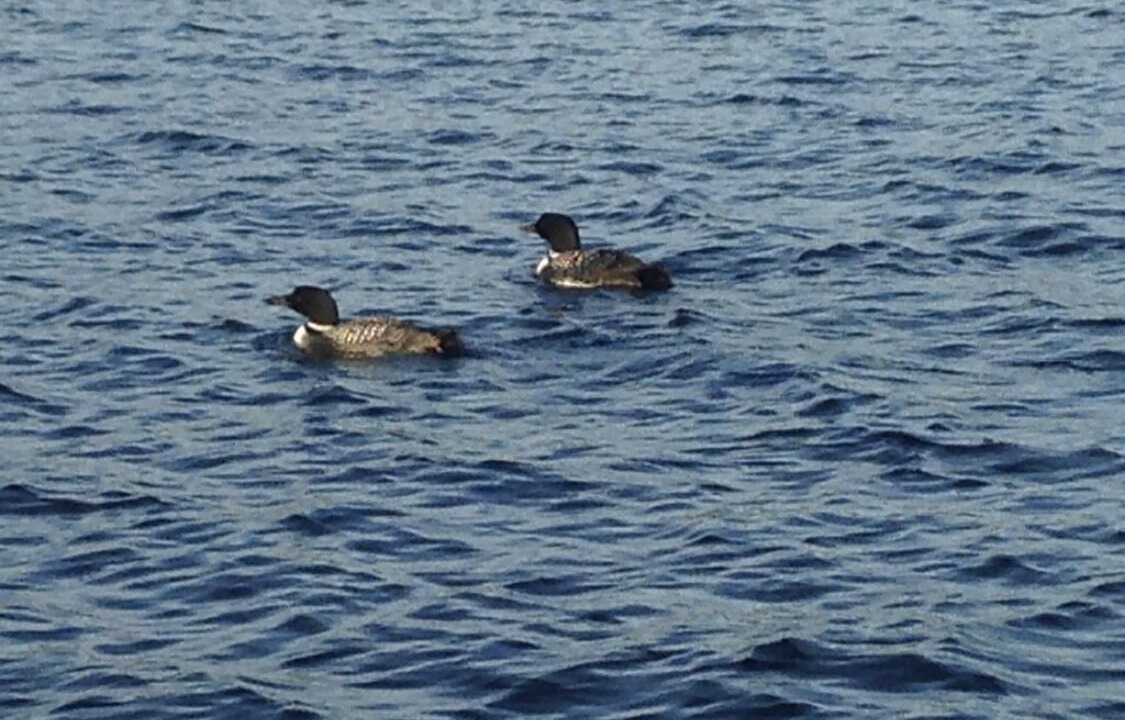 Photo of Outdoor in Naples