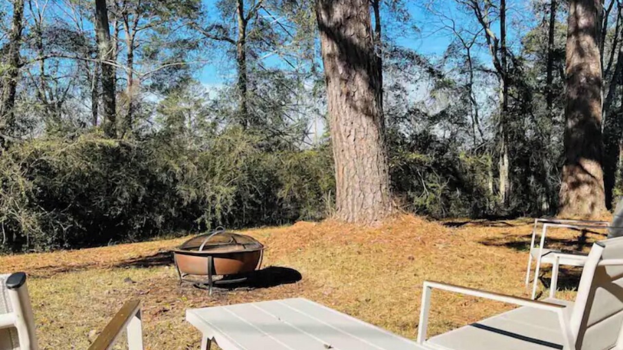 Photo of Outdoor in Moss