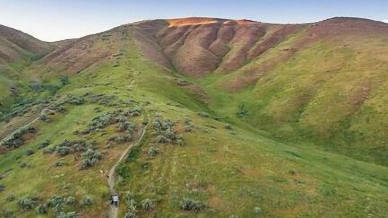 Photo of Others in Sunset