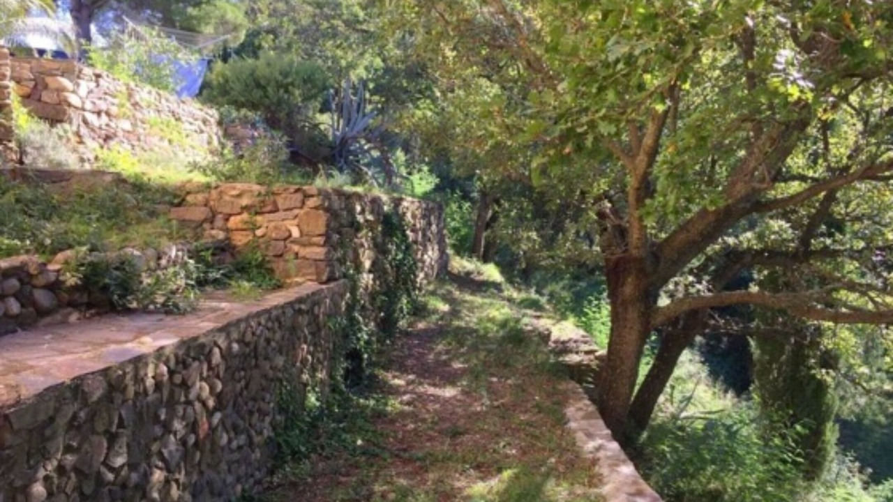 Photo of Outdoor in Montesquieu-des-Alberes