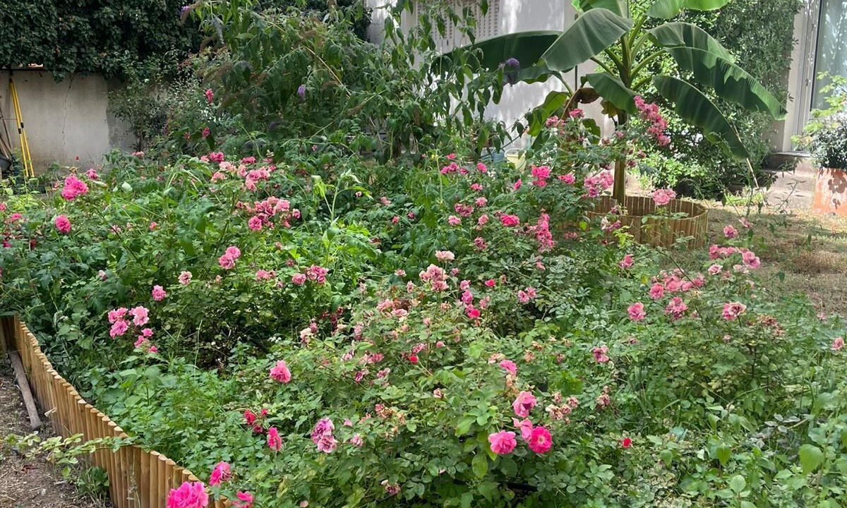 Photo of Outdoor in Billancourt–Rives de Seine