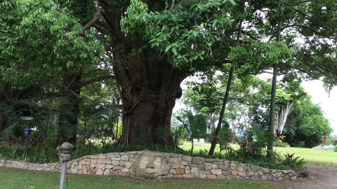 Photo of Outdoor in Condong