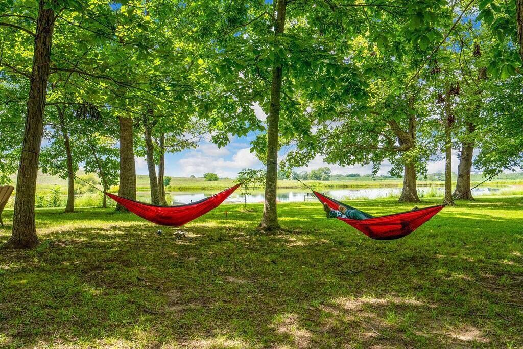 Photo of Others in Johnson County