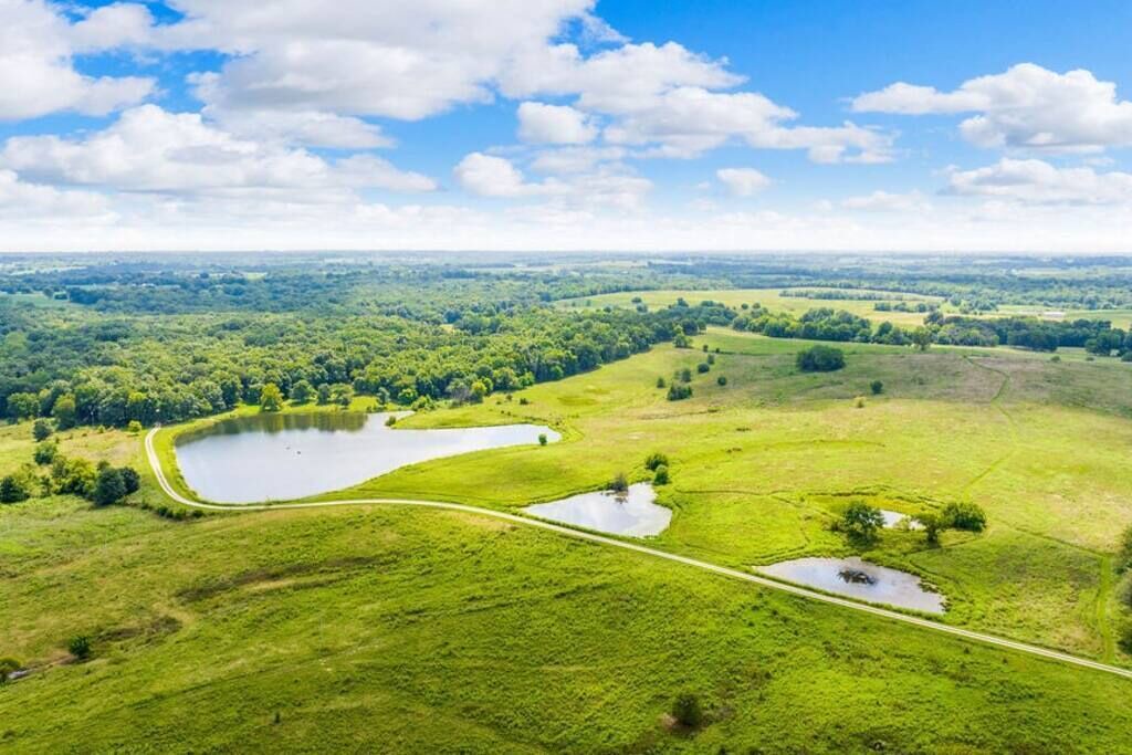Photo of Others in Johnson County