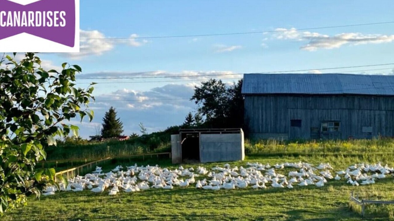 Photo of Outdoor in Saint-Tite-des-Caps