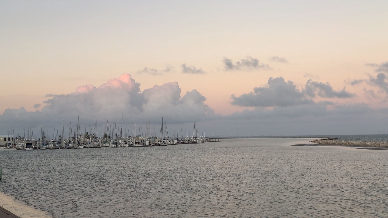 Photo of Others in Flour Bluff