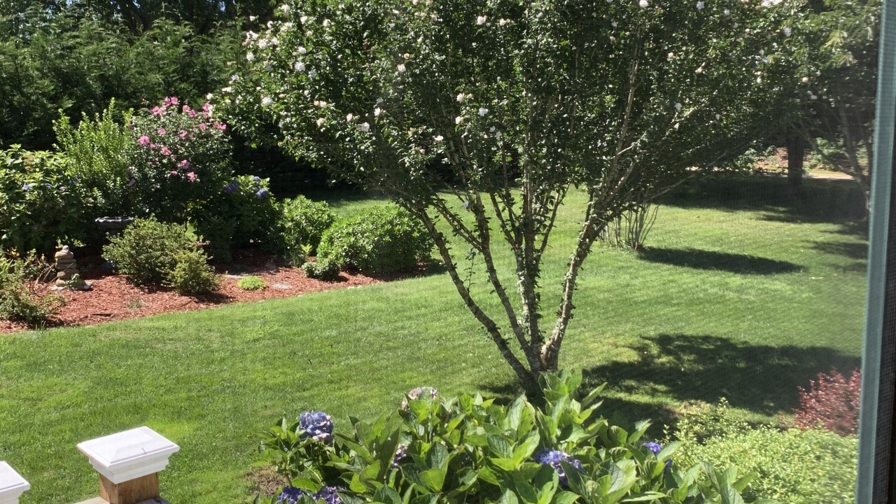 Photo of Outdoor in Katama