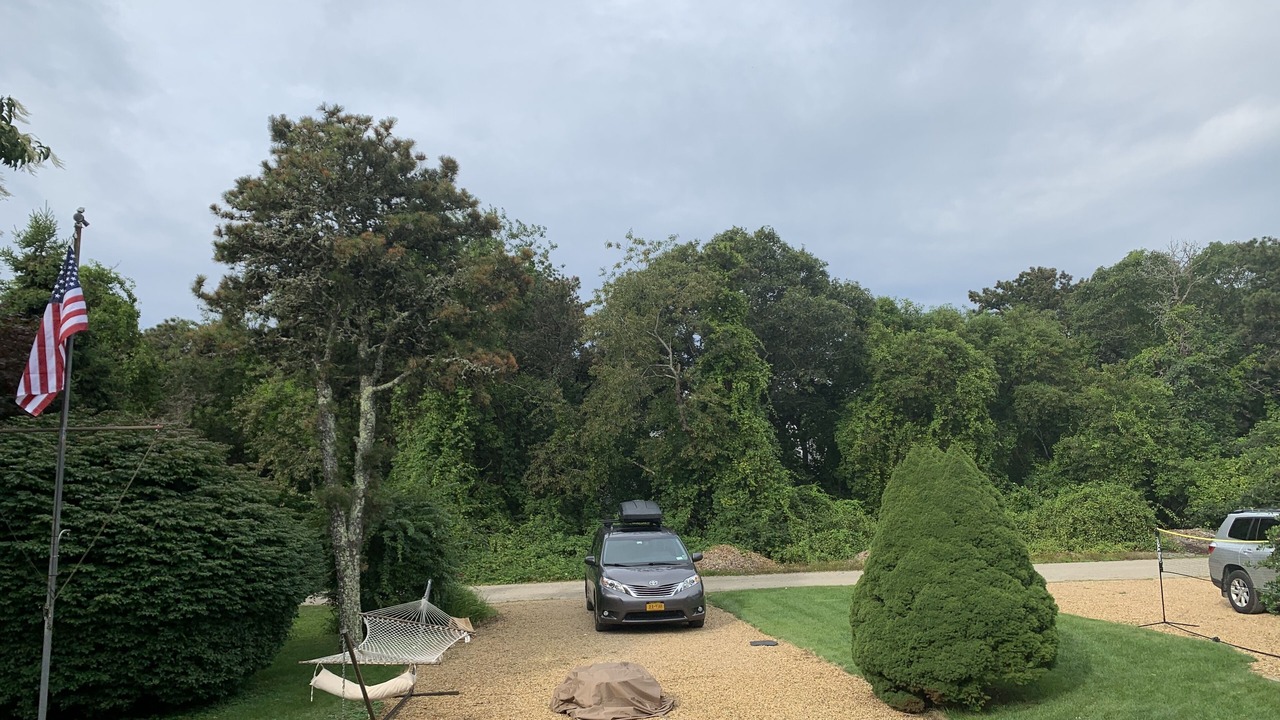 Photo of Outdoor in Katama