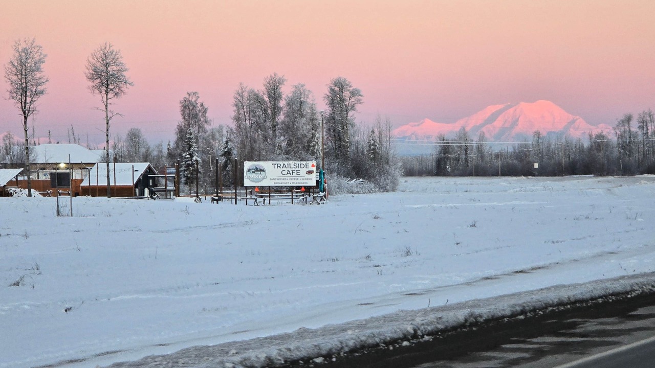 Photo of Others in Willow