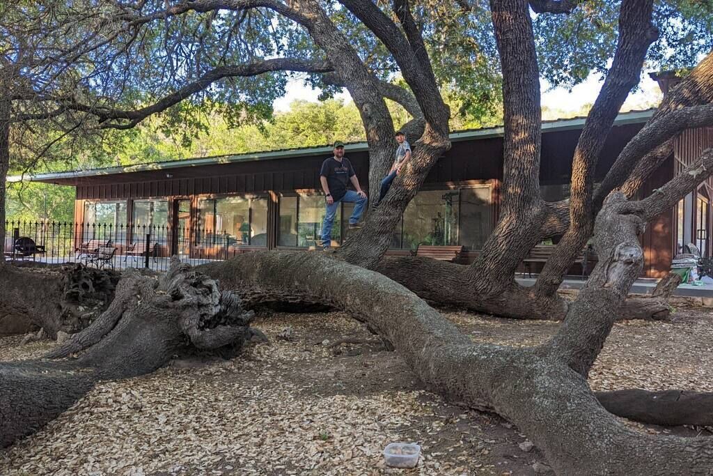 Photo of Outdoor in Mason