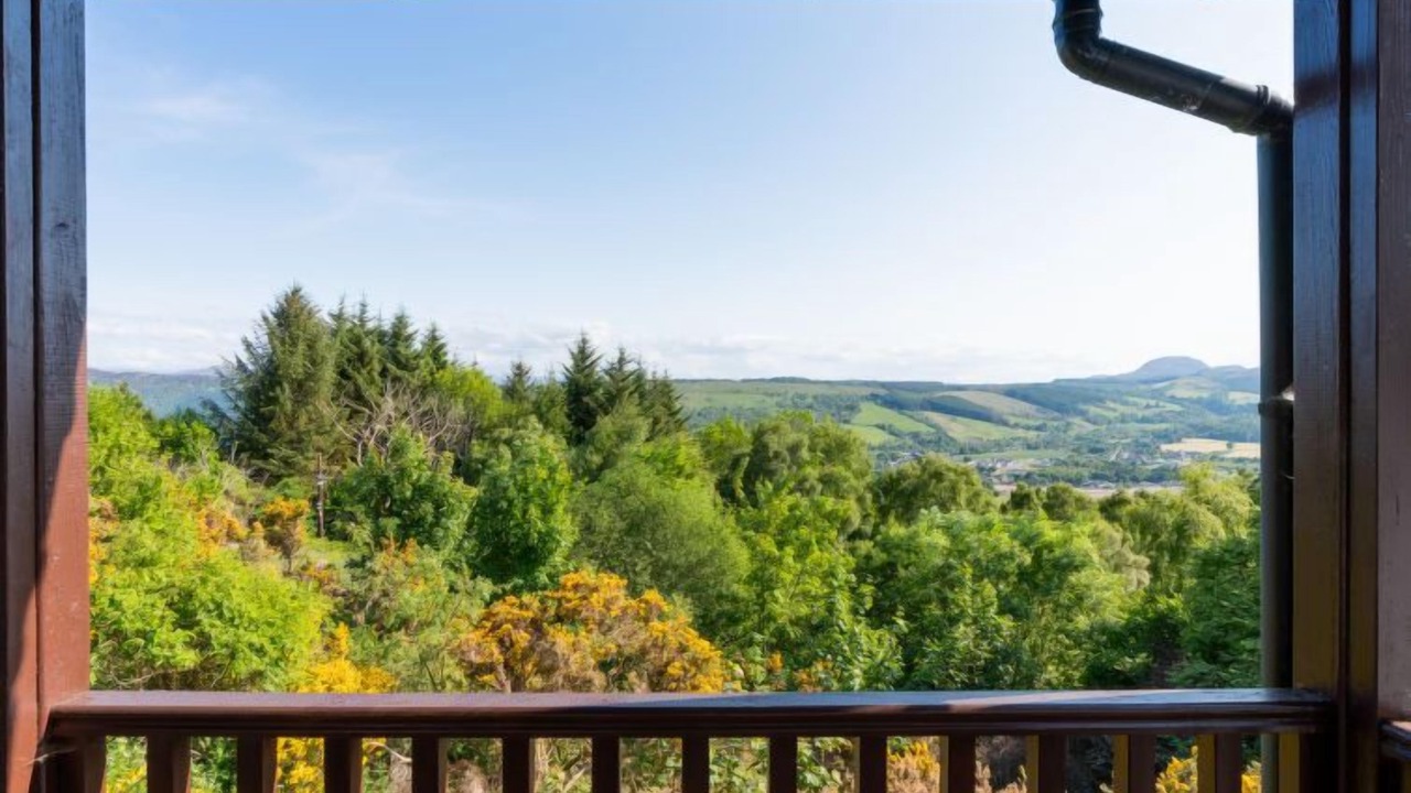 Photo of Others in Lewiston