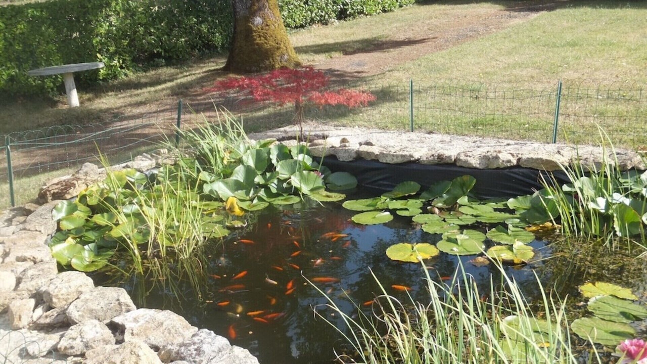 Photo of Outdoor in Cravans