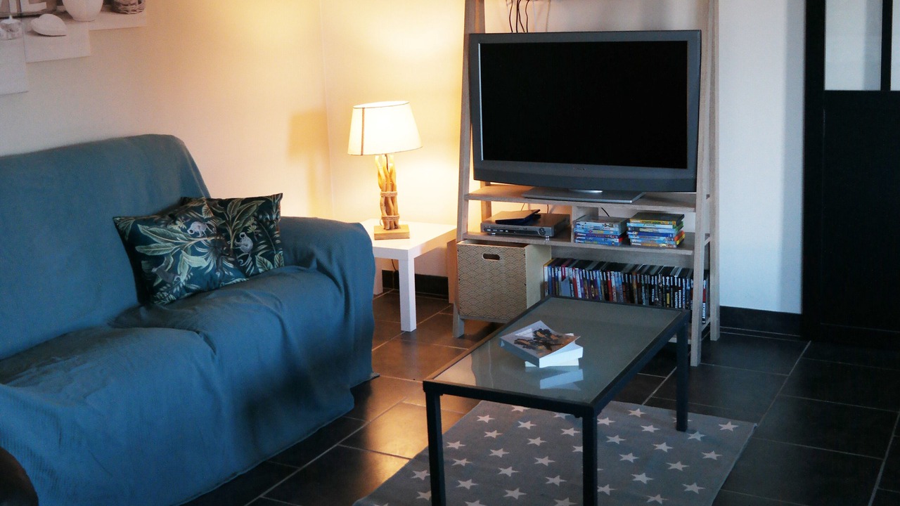 Photo of Livingroom in Saint-Mathurin-sur-Loire
