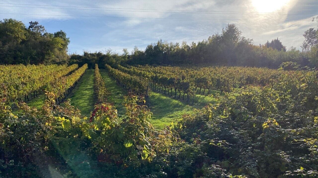 Photo of Others in Pessac-sur-Dordogne