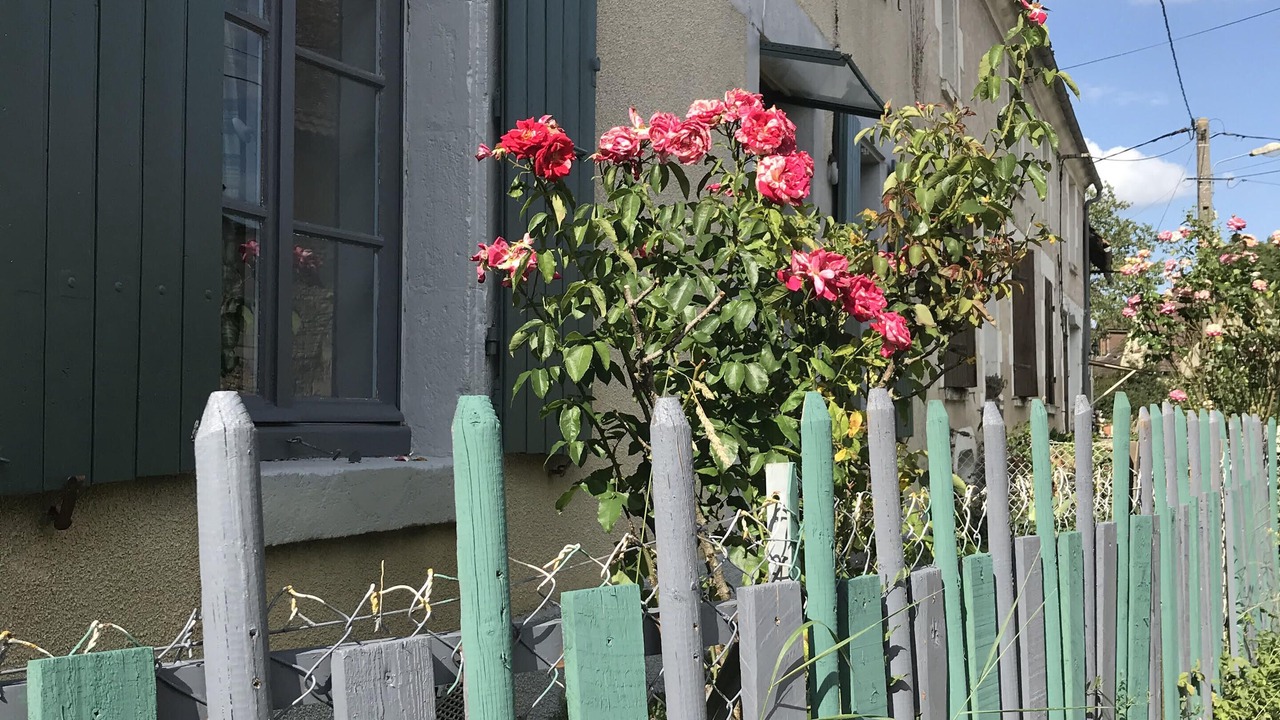 Photo of Outdoor in Sainpuits