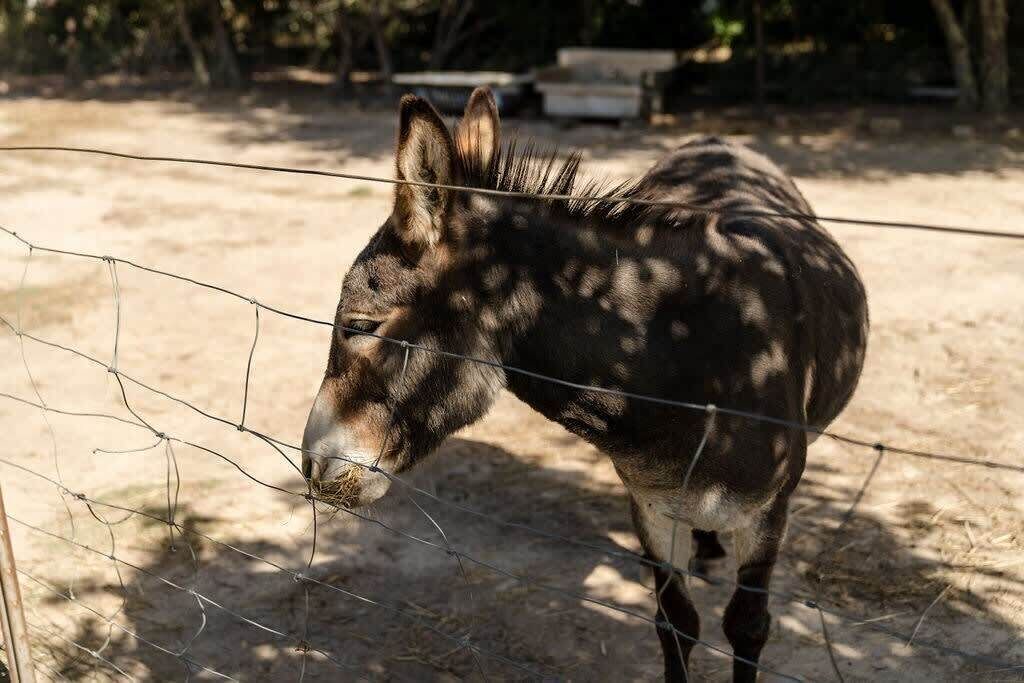 Photo of Others in Gobur