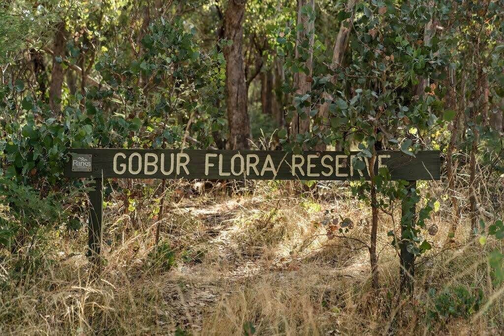 Photo of Others in Gobur