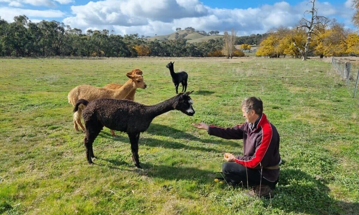 Photo of Outdoor in Gobur