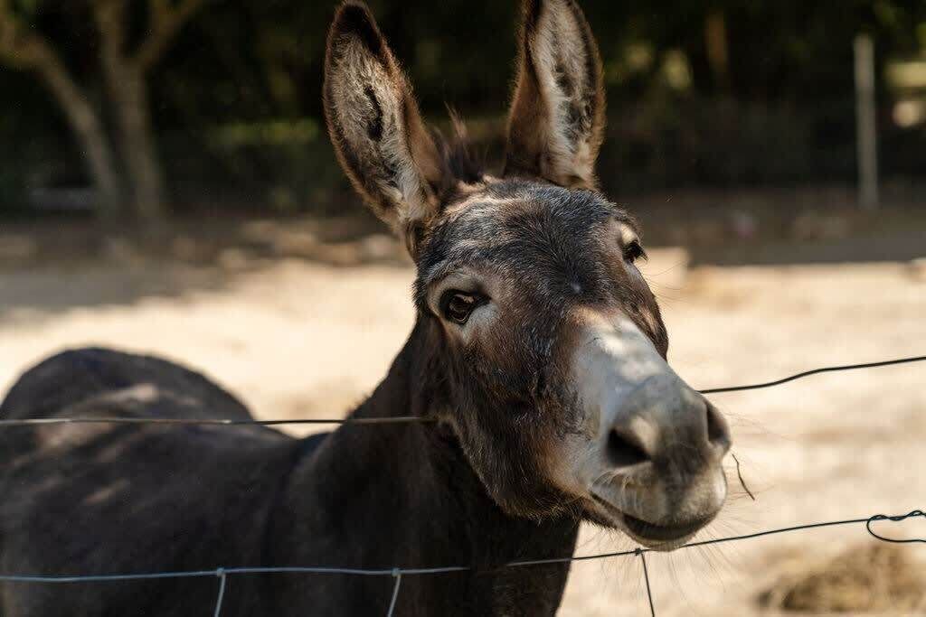 Photo of Bathroom in Gobur