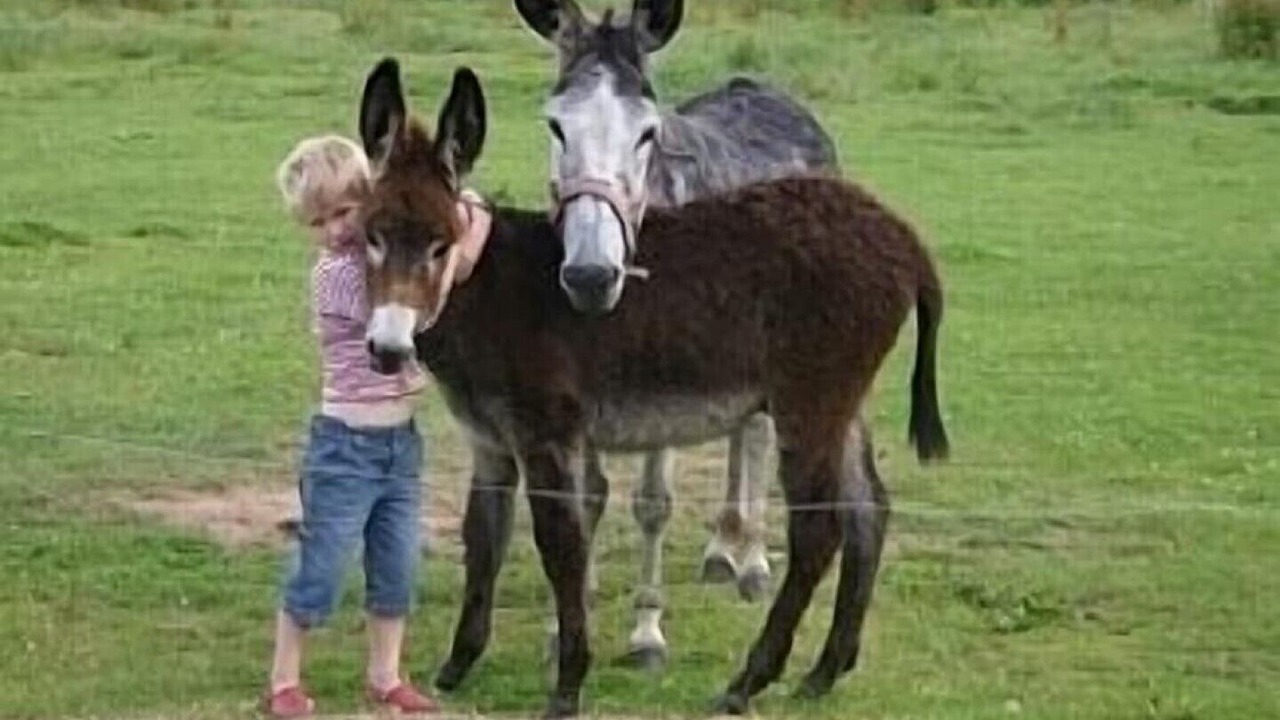 Photo of Outdoor in Ploubezre