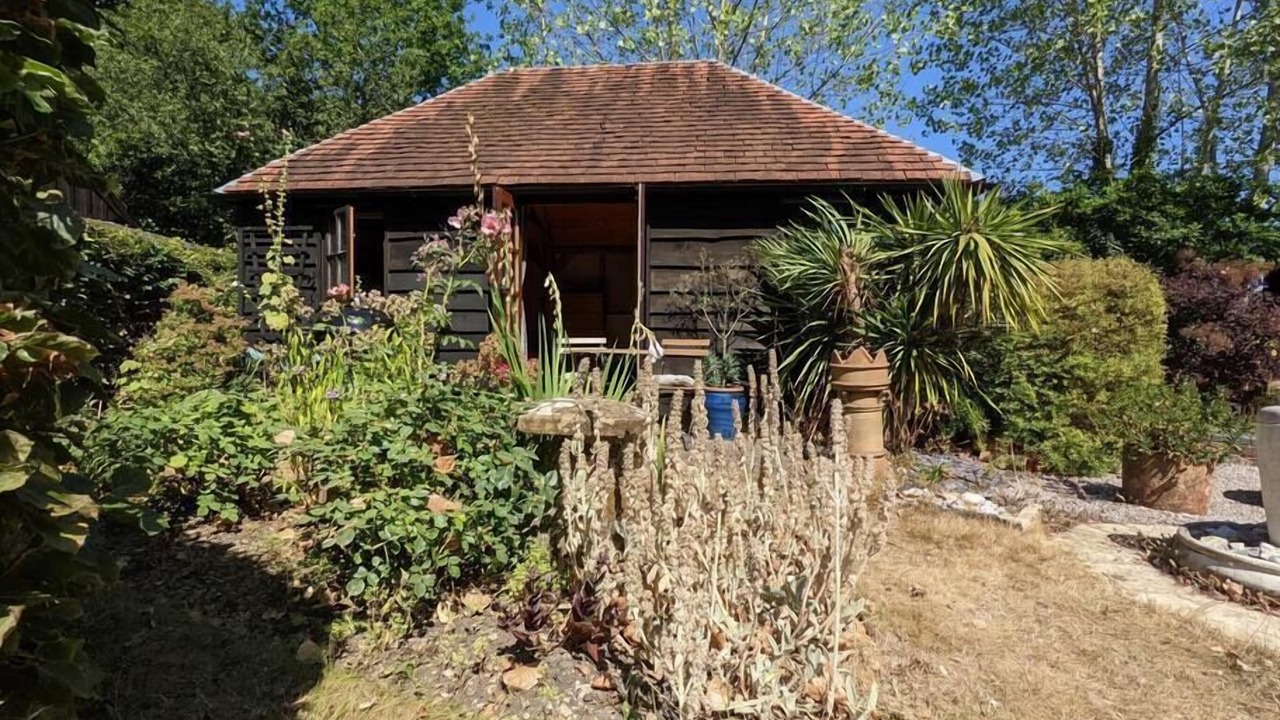 Photo of Others in New Forest District