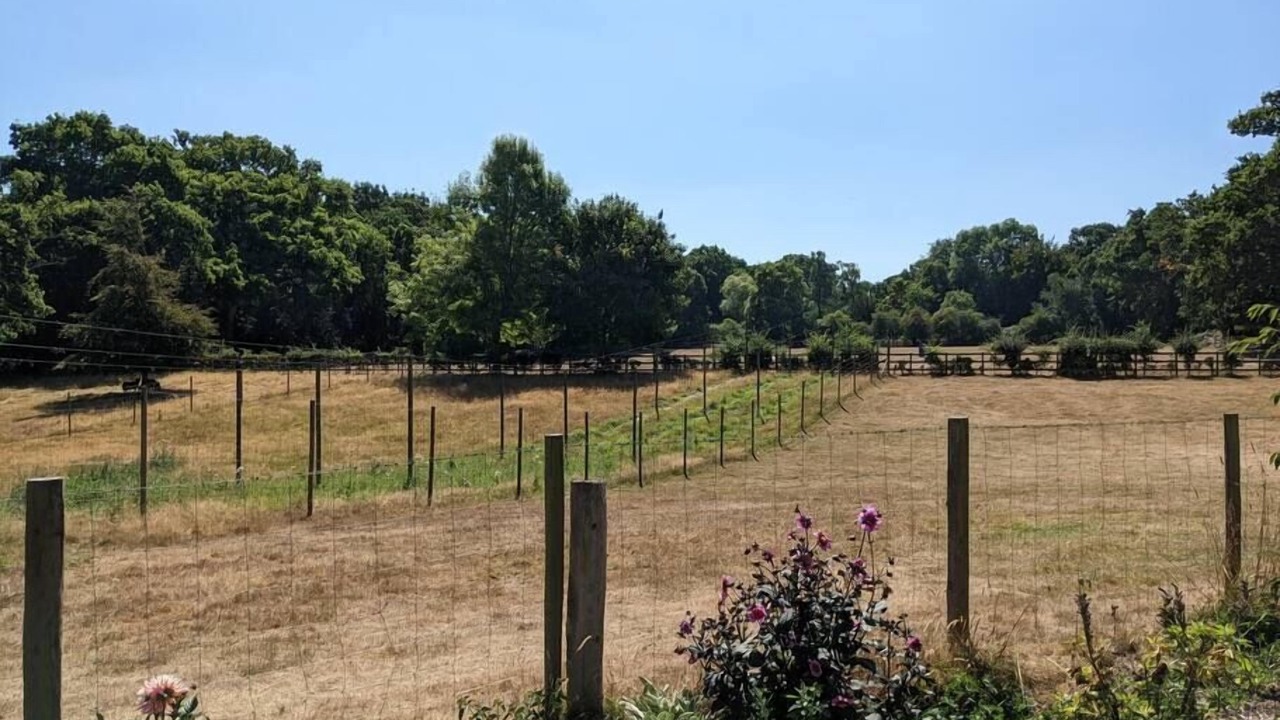 Photo of Others in New Forest District