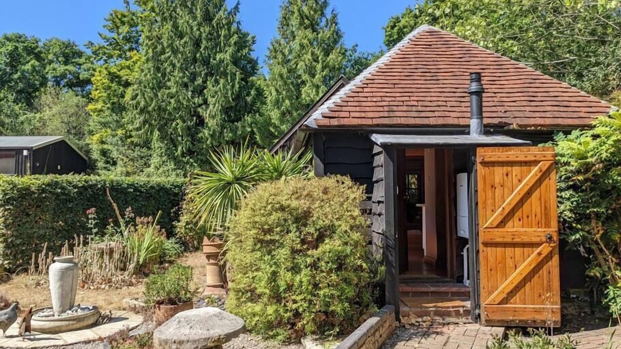 Photo of Others in New Forest District