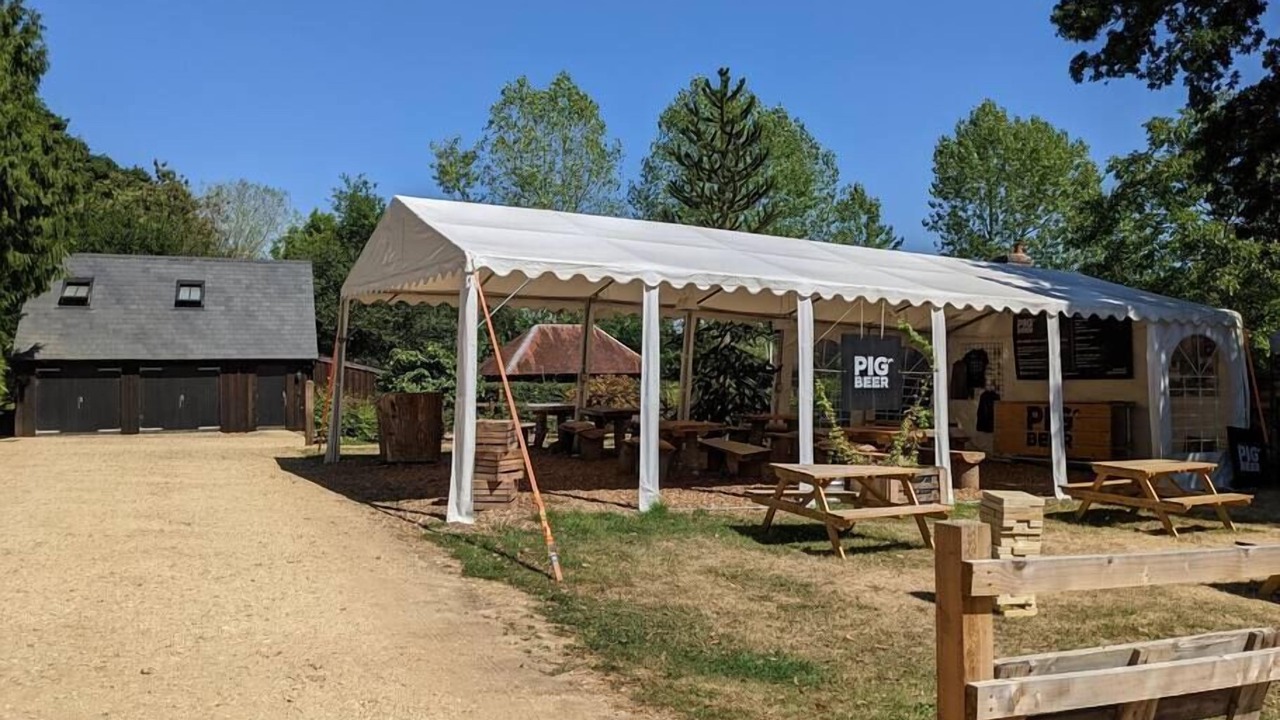 Photo of Others in New Forest District